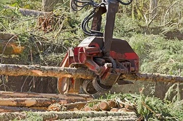 Multi Processors processing wood in a forest